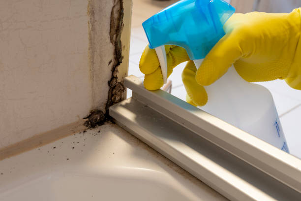 Best Toxic Mold Removal  in Cowan, TN
