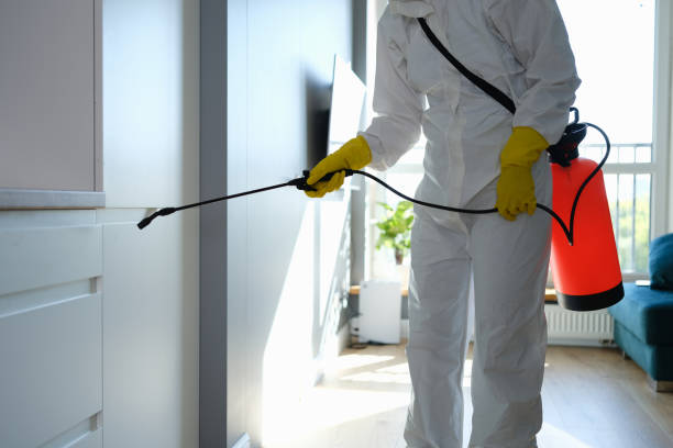 Best Mold Removal and Inspection  in Cowan, TN